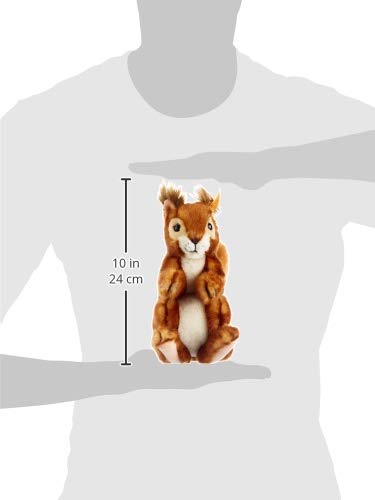 Steiff Niki Squirrel Russet, 8 inches - Image 3