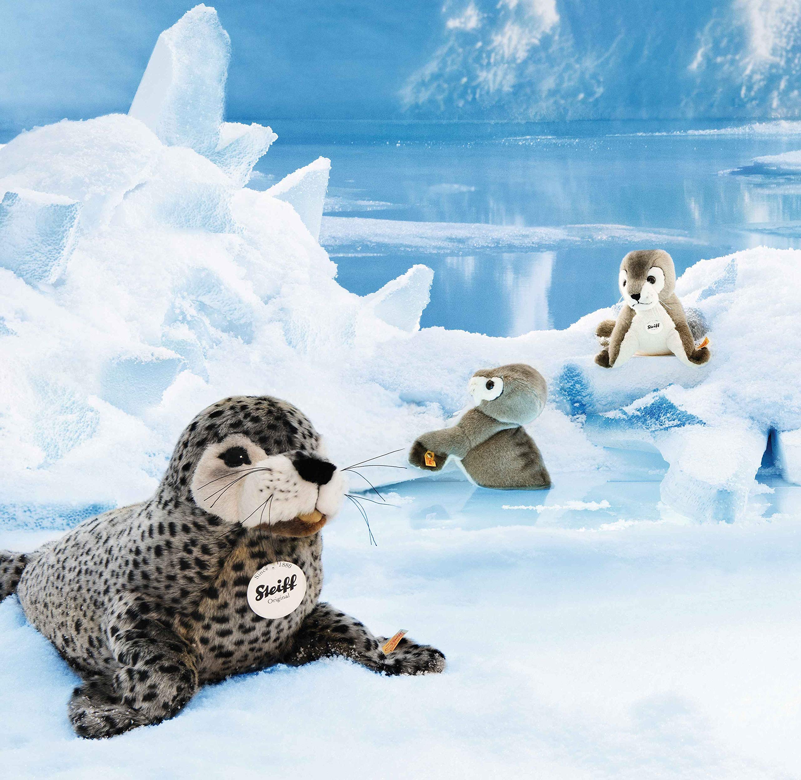 Steiff Robby Seal - Image 3