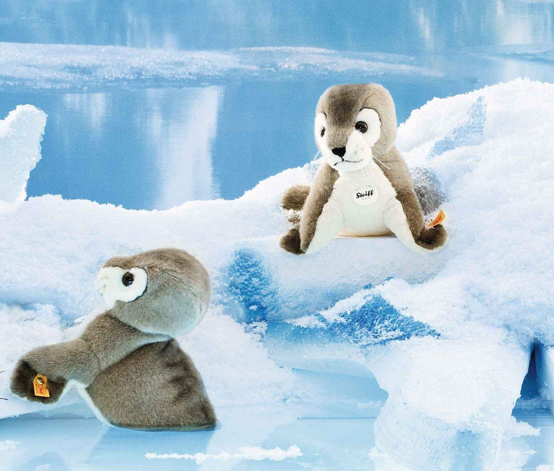 Steiff Robby Seal - Image 4